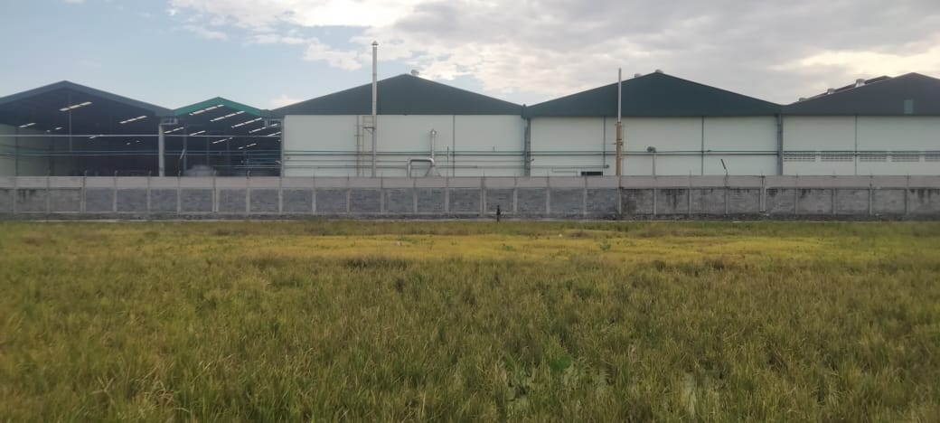 Asap Cerobong PT Multi Sarana Indo Tani Diduga Cemari Sawah, Petani Lengkong Terpuruk dan Desak Pemerintah Bertindak